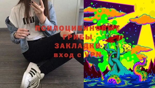 прущие крисы Богородицк