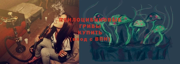 марки lsd Богданович
