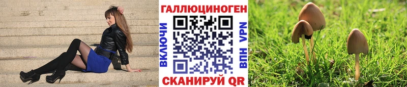 Псилоцибиновые грибы Magic Shrooms  mega зеркало  Каменск-Уральский  купить наркоту 
