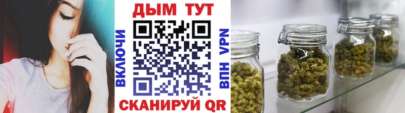 Конопля марихуана где купить наркотик Каменск-Уральский